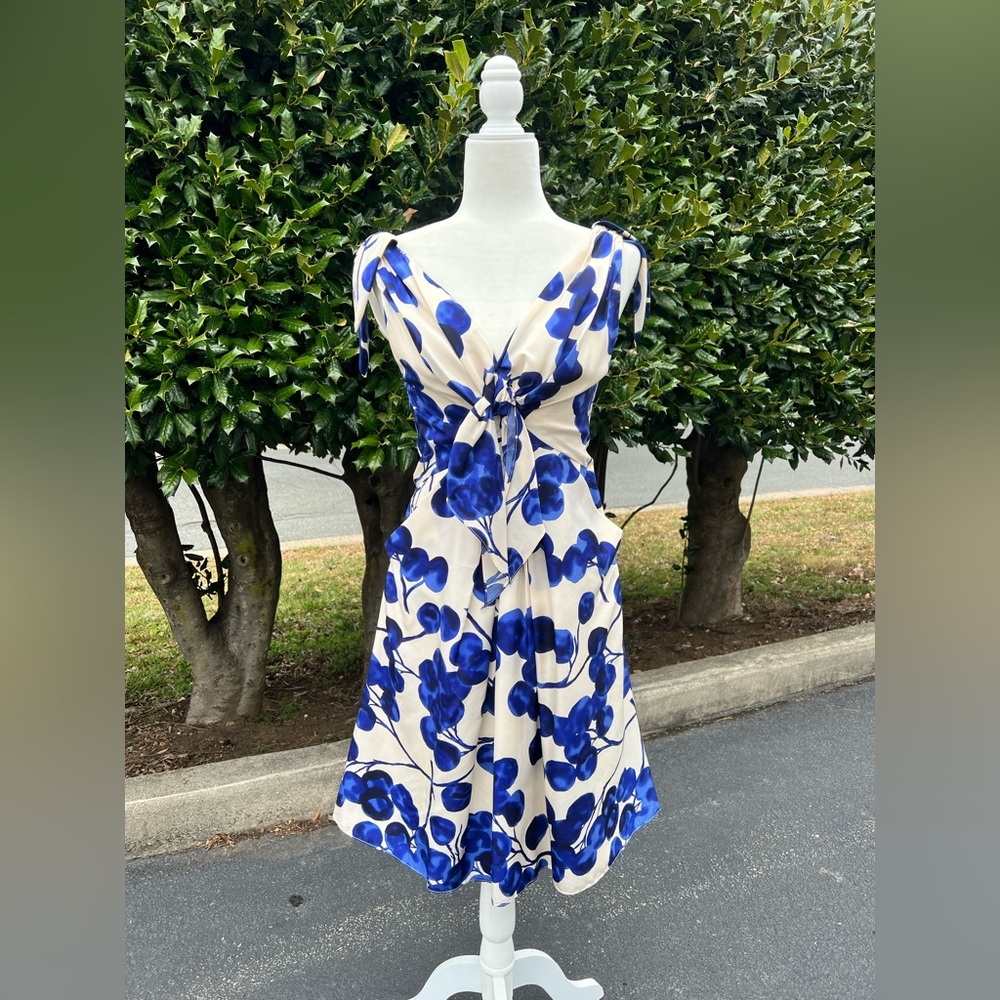 Yoana Baraschi silk tea dress